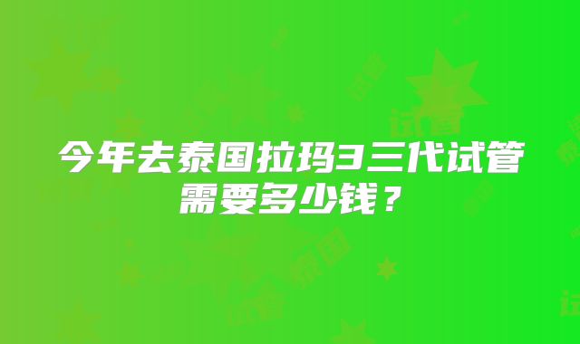 今年去泰国拉玛3三代试管需要多少钱？