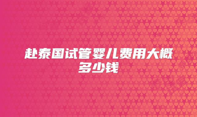 赴泰国试管婴儿费用大概多少钱