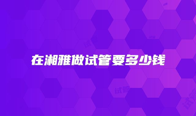在湘雅做试管要多少钱