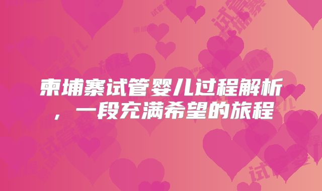 柬埔寨试管婴儿过程解析，一段充满希望的旅程