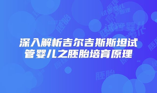 深入解析吉尔吉斯斯坦试管婴儿之胚胎培育原理