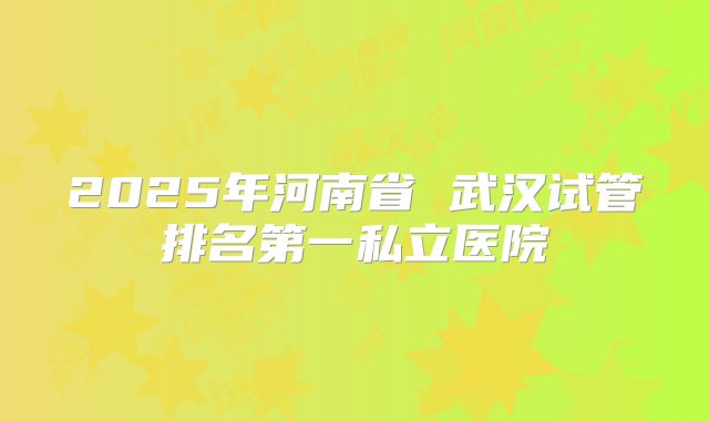 2025年河南省 武汉试管排名第一私立医院