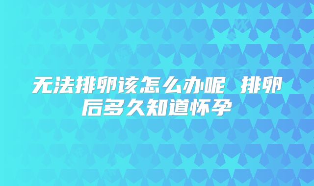 无法排卵该怎么办呢 排卵后多久知道怀孕