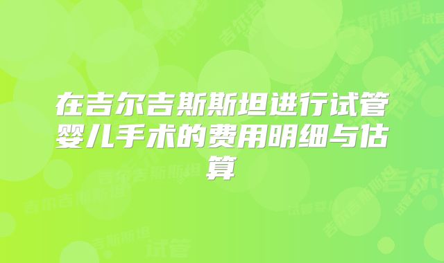在吉尔吉斯斯坦进行试管婴儿手术的费用明细与估算