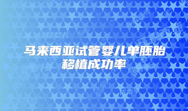 马来西亚试管婴儿单胚胎移植成功率