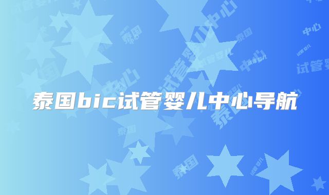 泰国bic试管婴儿中心导航