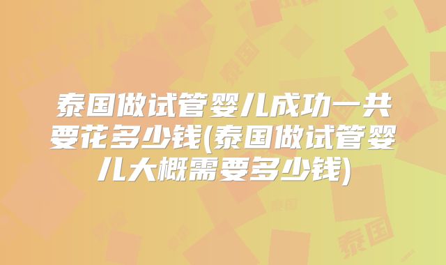 泰国做试管婴儿成功一共要花多少钱(泰国做试管婴儿大概需要多少钱)