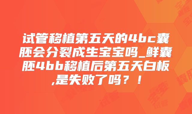 试管移植第五天的4bc囊胚会分裂成生宝宝吗_鲜囊胚4bb移植后第五天白板,是失败了吗？！