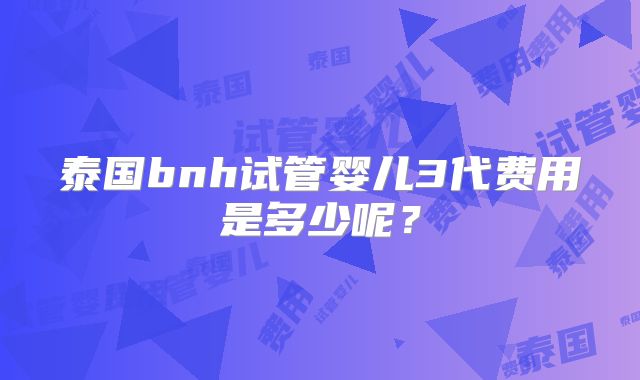 泰国bnh试管婴儿3代费用是多少呢?