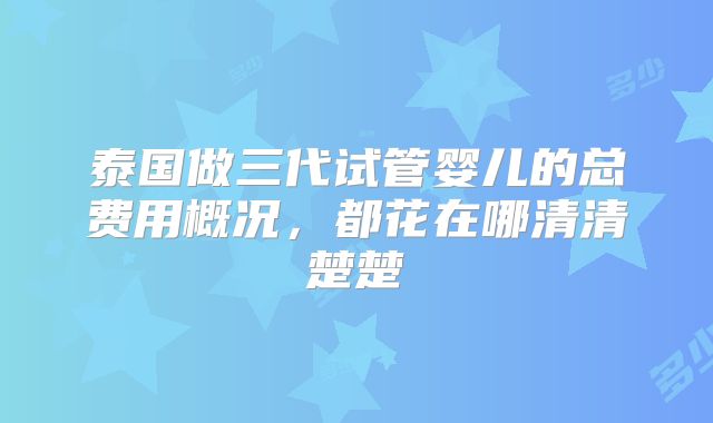 泰国做三代试管婴儿的总费用概况，都花在哪清清楚楚