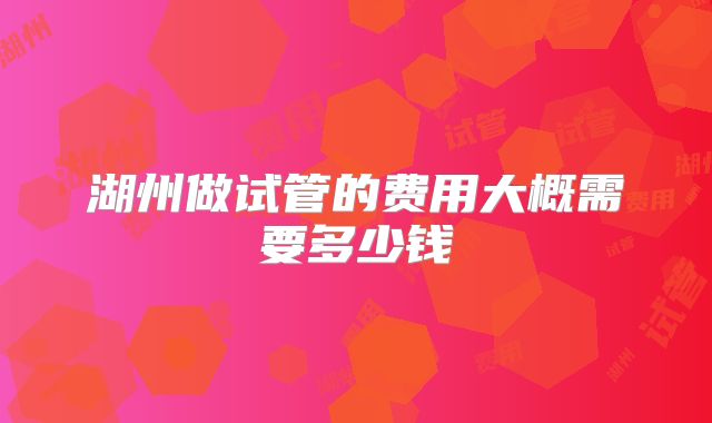 湖州做试管的费用大概需要多少钱