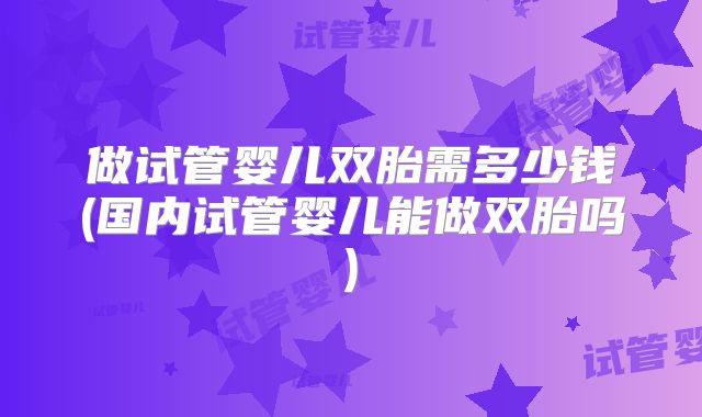 做试管婴儿双胎需多少钱(国内试管婴儿能做双胎吗)