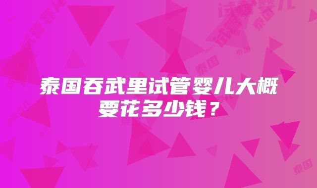 泰国吞武里试管婴儿大概要花多少钱?