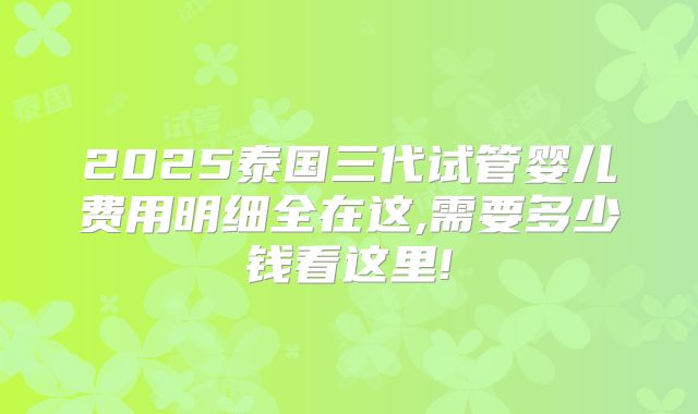 2025泰国三代试管婴儿费用明细全在这,需要多少钱看这里!