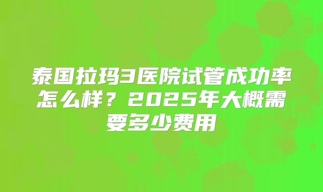 泰国拉玛3医院试管成功率怎么样？2025年大概需要多少费用