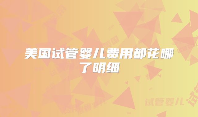 美国试管婴儿费用都花哪了明细