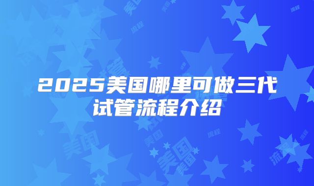 2025美国哪里可做三代试管流程介绍