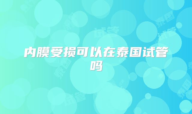 内膜受损可以在泰国试管吗