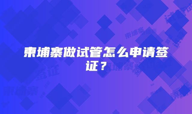 柬埔寨做试管怎么申请签证？