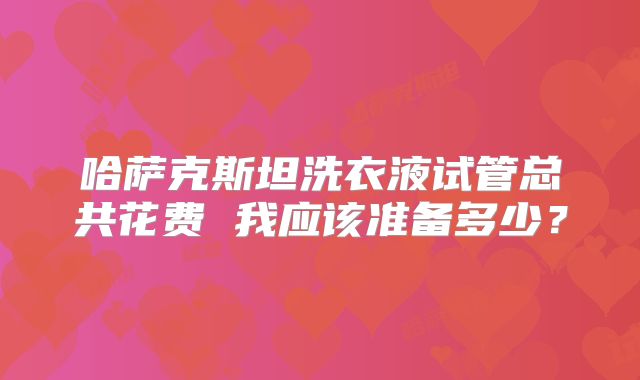 哈萨克斯坦洗衣液试管总共花费 我应该准备多少？