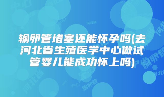 输卵管堵塞还能怀孕吗(去河北省生殖医学中心做试管婴儿能成功怀上吗)