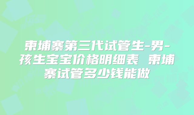柬埔寨第三代试管生-男-孩生宝宝价格明细表 柬埔寨试管多少钱能做
