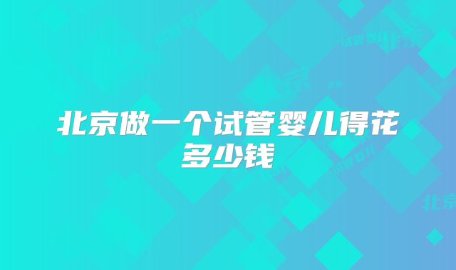北京做一个试管婴儿得花多少钱