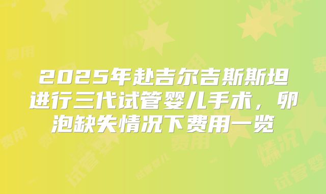 2025年赴吉尔吉斯斯坦进行三代试管婴儿手术，卵泡缺失情况下费用一览