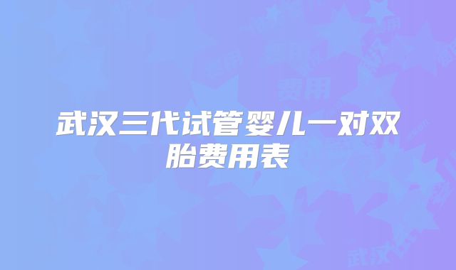 武汉三代试管婴儿一对双胎费用表
