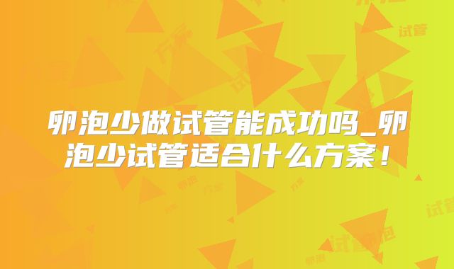 卵泡少做试管能成功吗_卵泡少试管适合什么方案!
