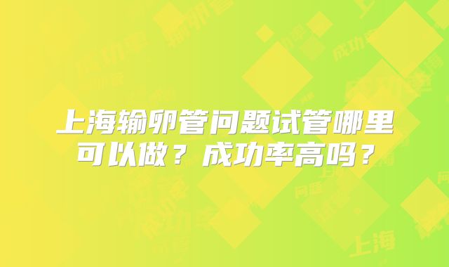 上海输卵管问题试管哪里可以做?成功率高吗?