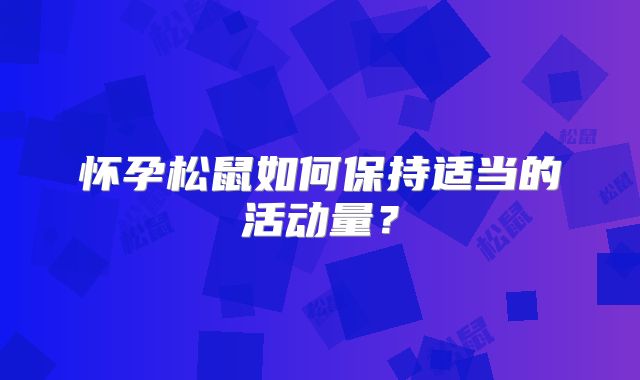 怀孕松鼠如何保持适当的活动量？
