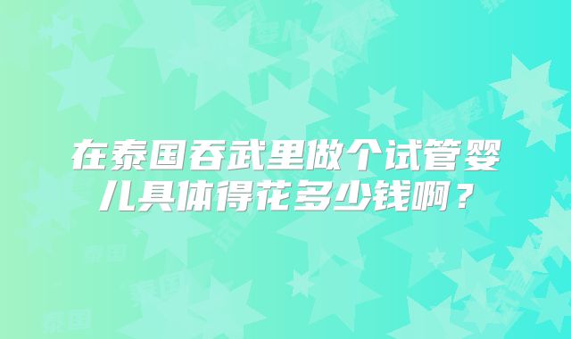 在泰国吞武里做个试管婴儿具体得花多少钱啊？