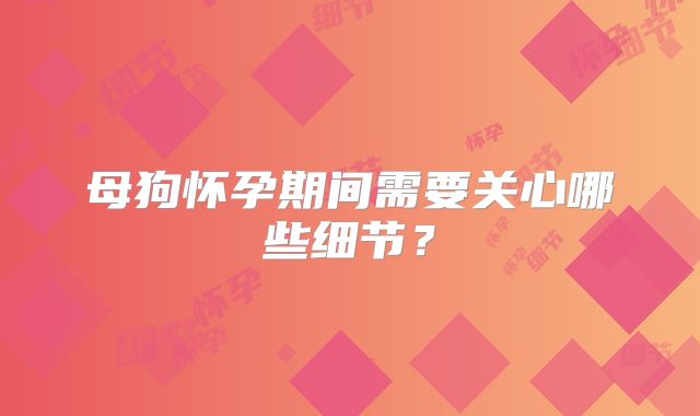 母狗怀孕期间需要关心哪些细节?