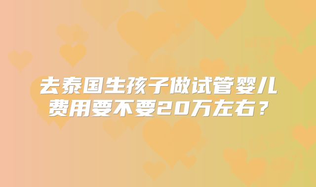去泰国生孩子做试管婴儿费用要不要20万左右?