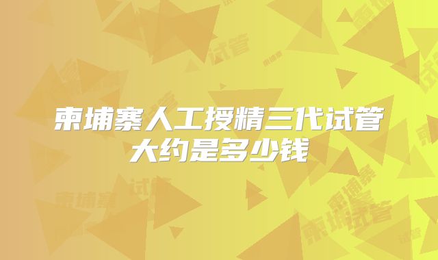 柬埔寨人工授精三代试管大约是多少钱