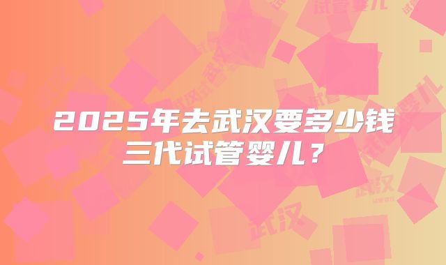 2025年去武汉要多少钱三代试管婴儿？