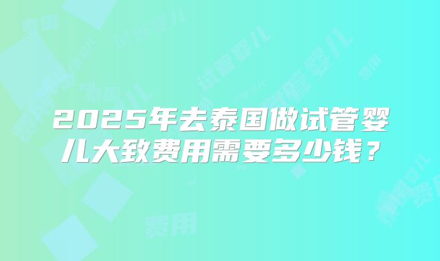 2025年去泰国做试管婴儿大致费用需要多少钱?