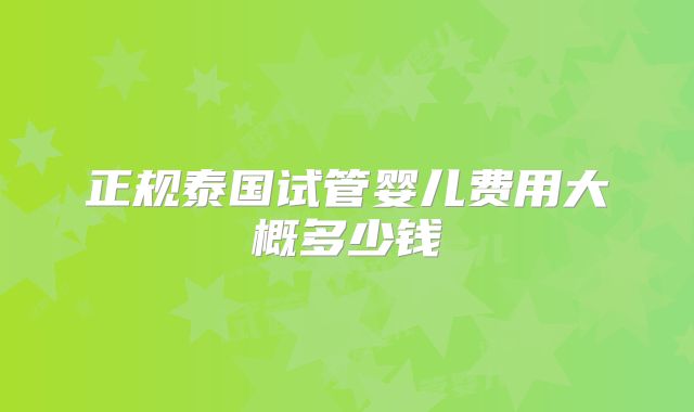 正规泰国试管婴儿费用大概多少钱