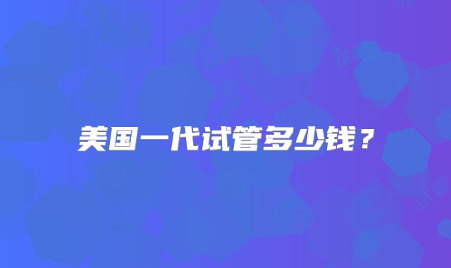 美国一代试管多少钱？