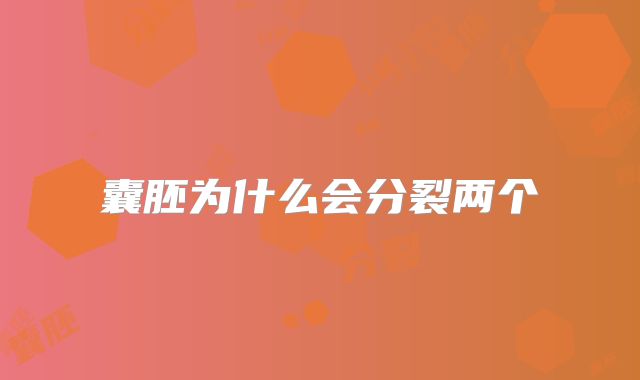 囊胚为什么会分裂两个