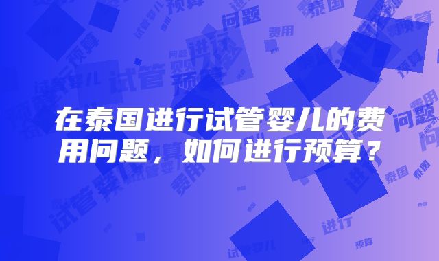 在泰国进行试管婴儿的费用问题，如何进行预算？