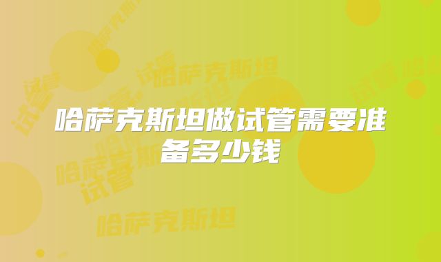 哈萨克斯坦做试管需要准备多少钱