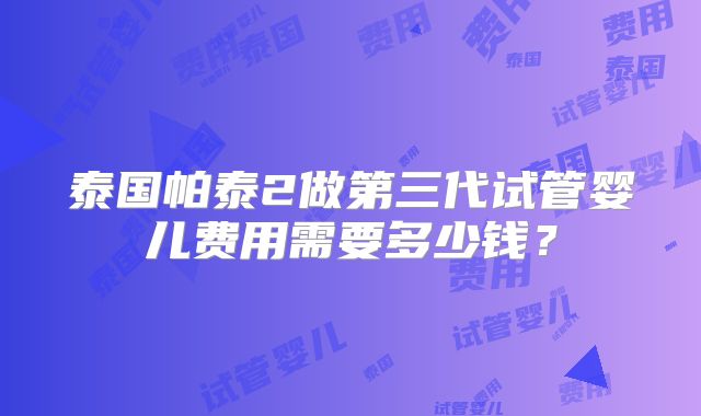 泰国帕泰2做第三代试管婴儿费用需要多少钱？