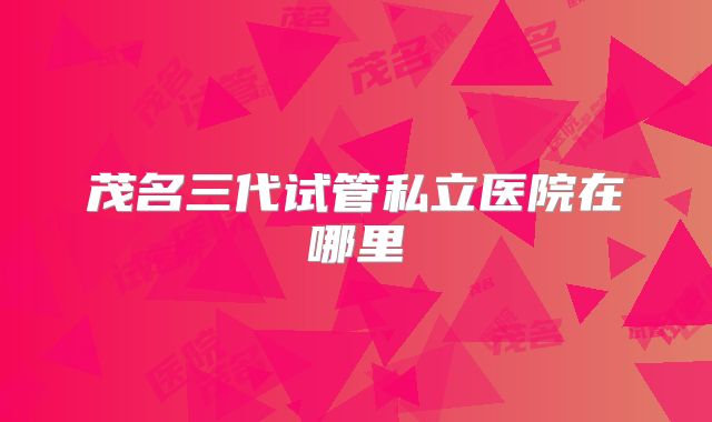 茂名三代试管私立医院在哪里