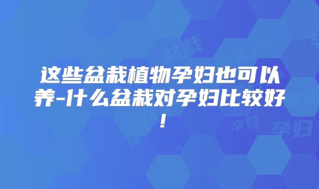 这些盆栽植物孕妇也可以养-什么盆栽对孕妇比较好!