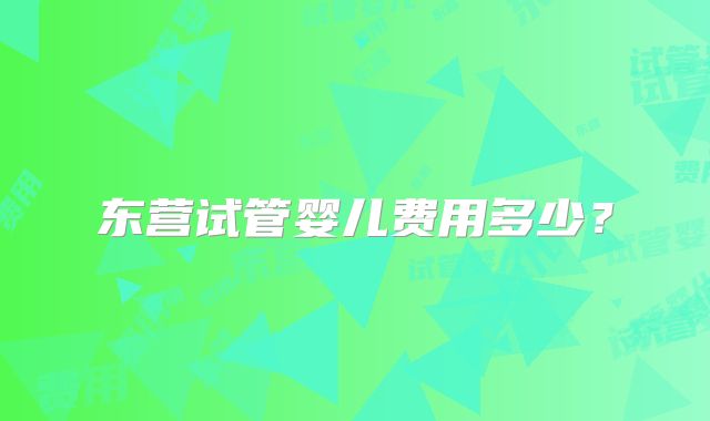 东营试管婴儿费用多少？