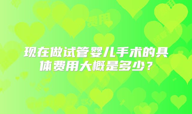 现在做试管婴儿手术的具体费用大概是多少？
