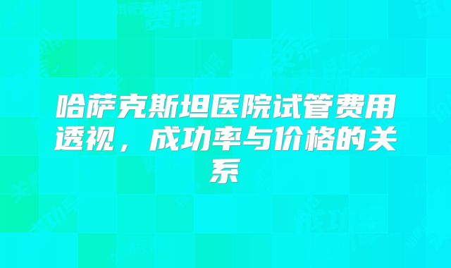 哈萨克斯坦医院试管费用透视，成功率与价格的关系