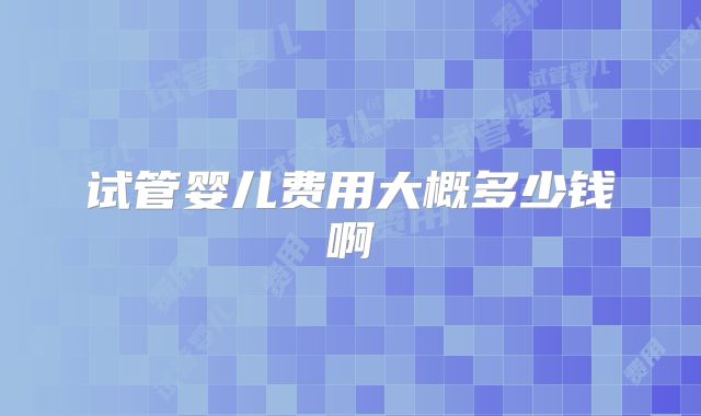 试管婴儿费用大概多少钱啊